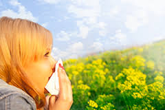 seasonal allergies II